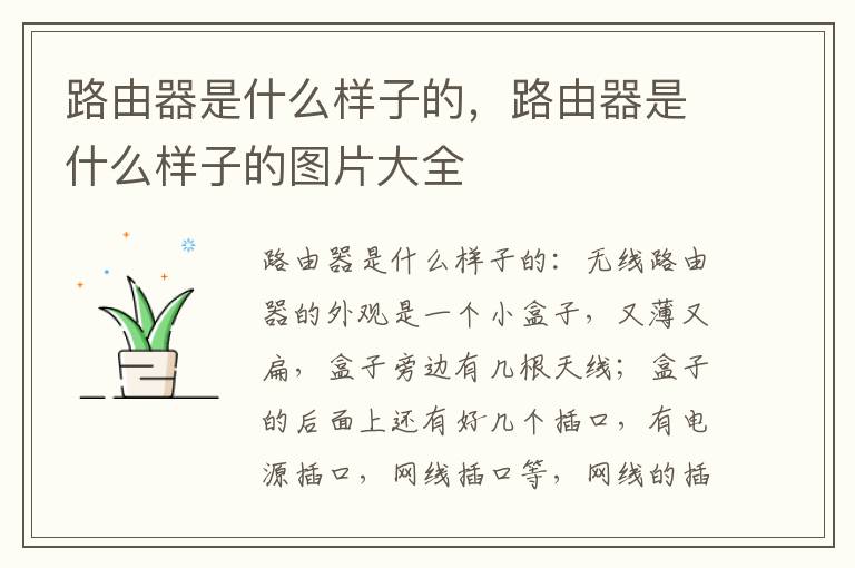 路由器是什么样子的，路由器是什么样子的图片大全