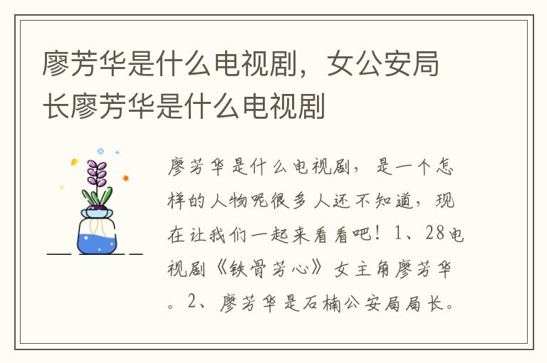 廖芳华是什么电视剧，女公安局长廖芳华是什么电视剧