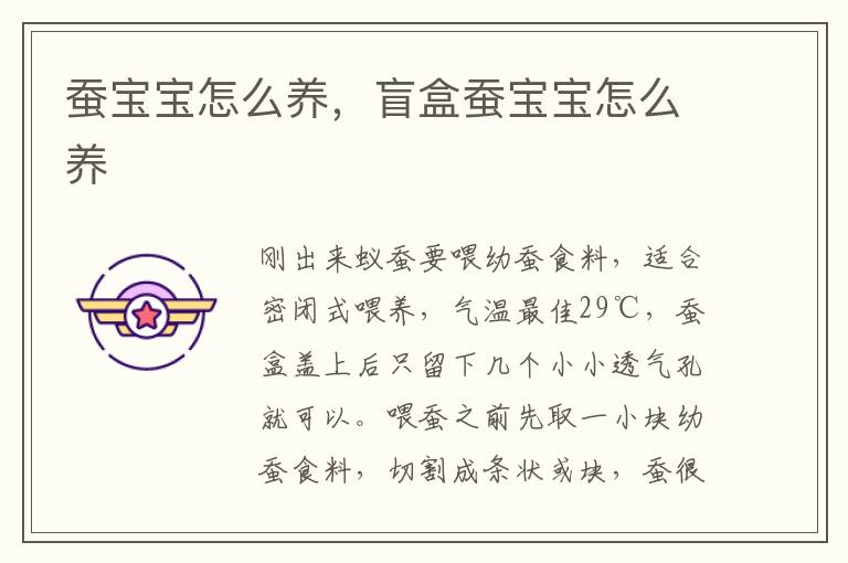 蚕宝宝怎么养，盲盒蚕宝宝怎么养