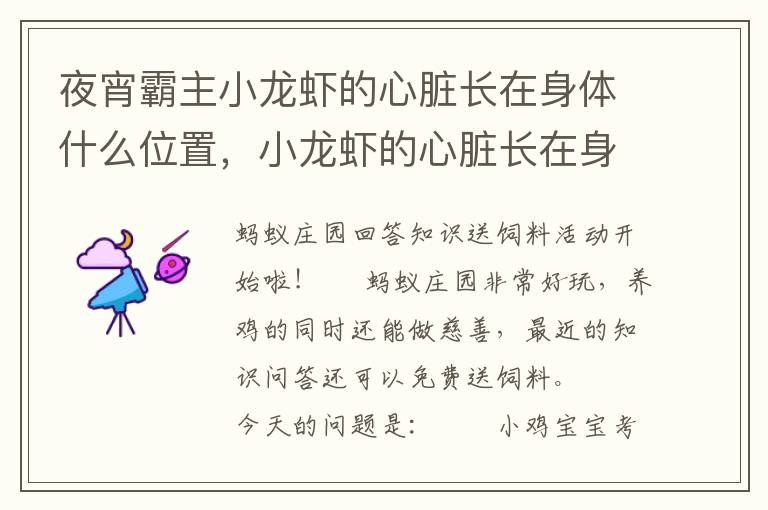 夜宵霸主小龙虾的心脏长在身体什么位置，小龙虾的心脏长在身体的什么位置
