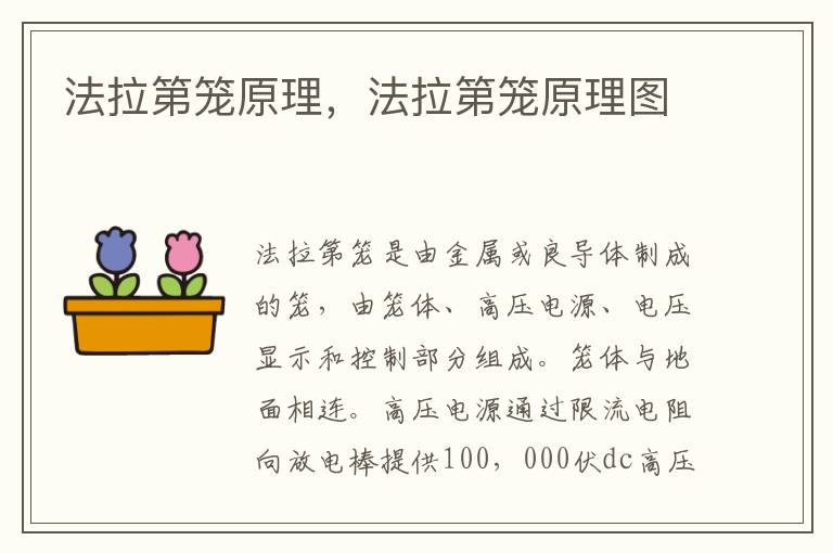 法拉第笼原理，法拉第笼原理图