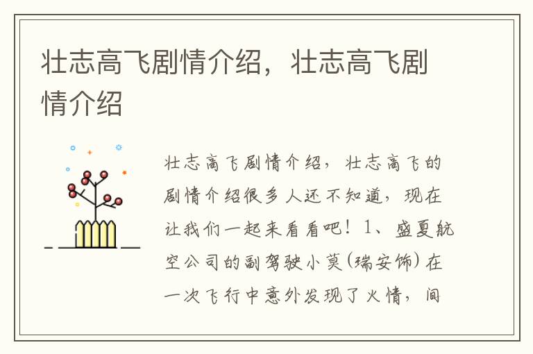 壮志高飞剧情介绍，壮志高飞剧情介绍