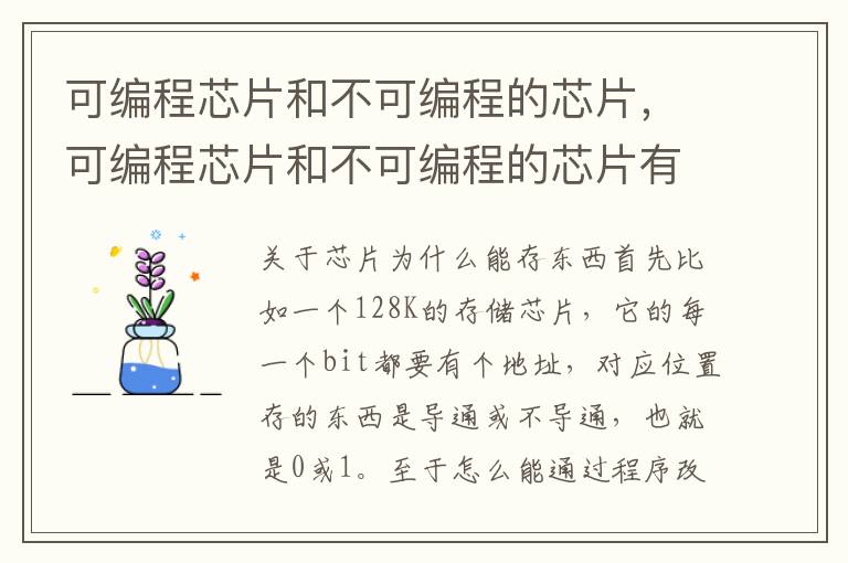 可编程芯片和不可编程的芯片，可编程芯片和不可编程的芯片有什么区别