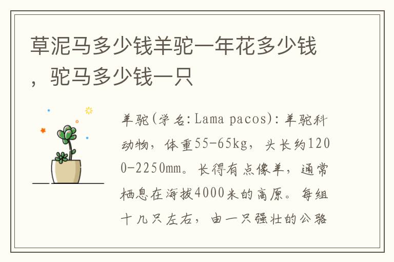 草泥马多少钱羊驼一年花多少钱，驼马多少钱一只