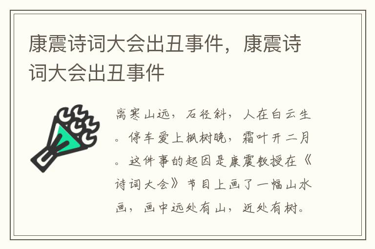 康震诗词大会出丑事件，康震诗词大会出丑事件