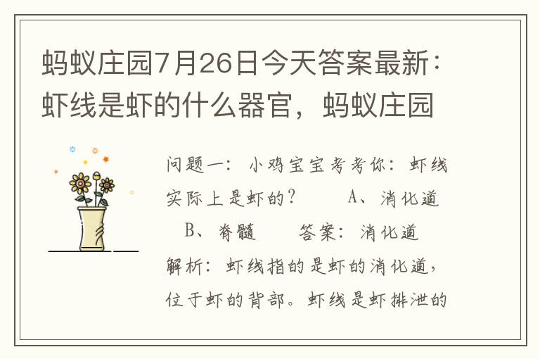 蚂蚁庄园7月26日今天答案最新：虾线是虾的什么器官，蚂蚁庄园7月26日今天答案最新:虾线是虾的什么器官: