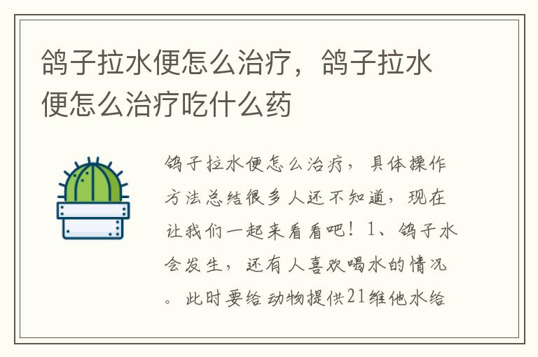 鸽子拉水便怎么治疗，鸽子拉水便怎么治疗吃什么药