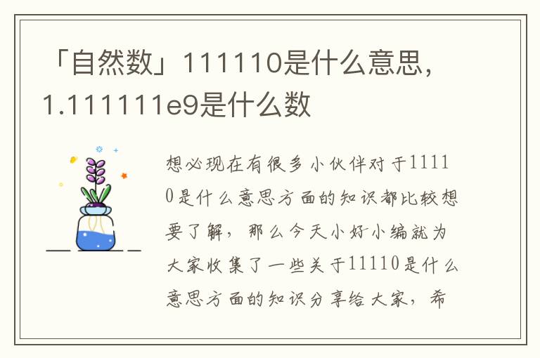 「自然数」111110是什么意思，1.111111e9是什么数