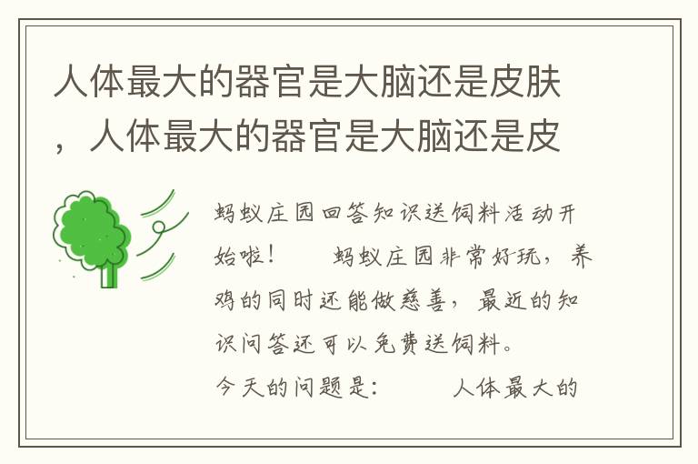 人体最大的器官是大脑还是皮肤，人体最大的器官是大脑还是皮肤呢