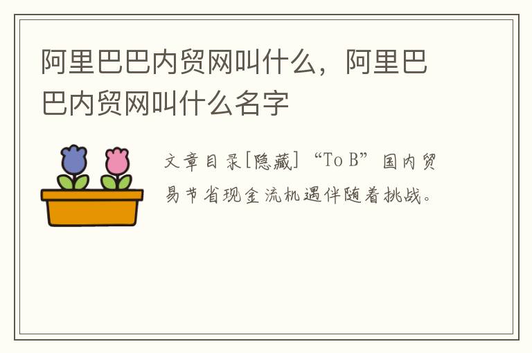 阿里巴巴内贸网叫什么，阿里巴巴内贸网叫什么名字