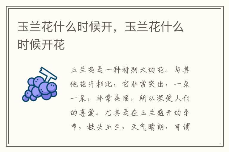 玉兰花什么时候开，玉兰花什么时候开花