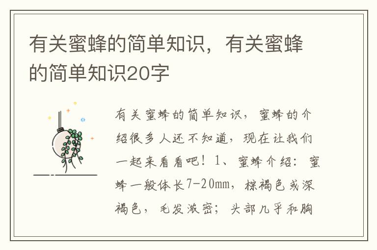 有关蜜蜂的简单知识，有关蜜蜂的简单知识20字