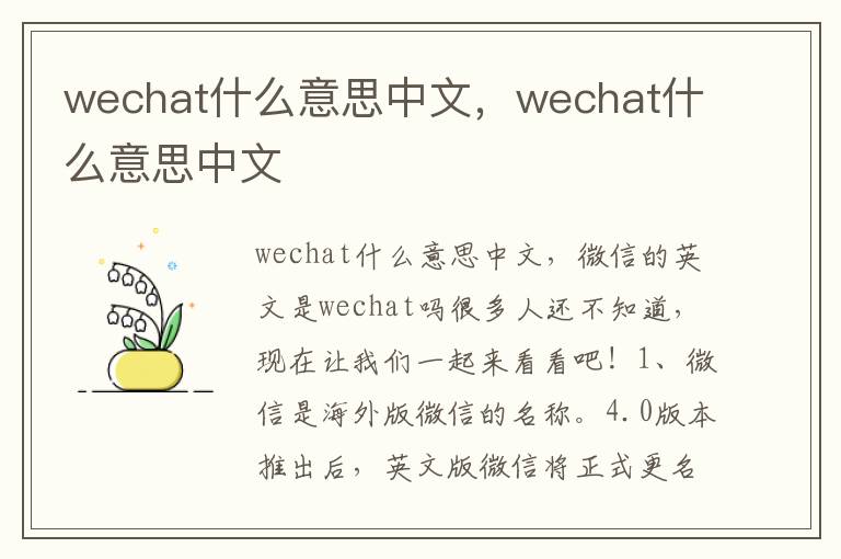 wechat什么意思中文，wechat什么意思中文