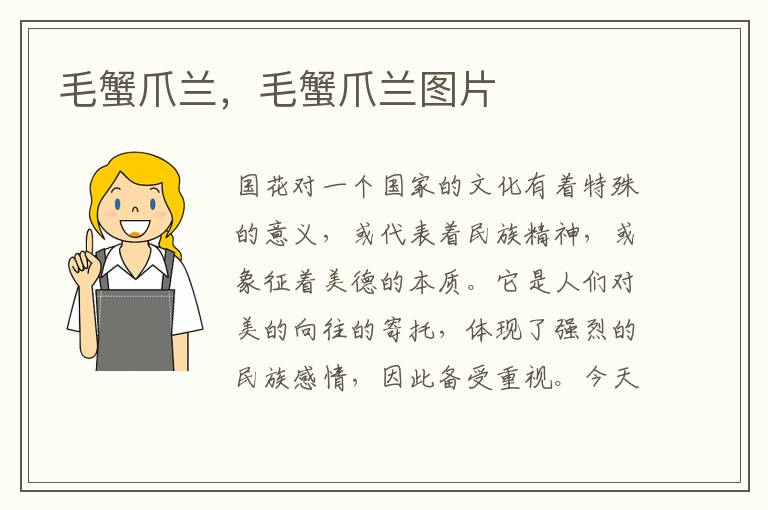 毛蟹爪兰，毛蟹爪兰图片