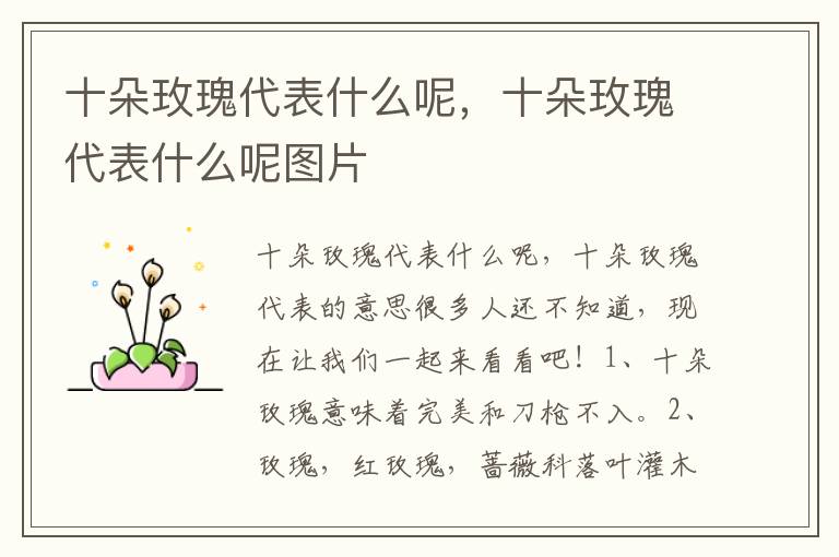 十朵玫瑰代表什么呢，十朵玫瑰代表什么呢图片