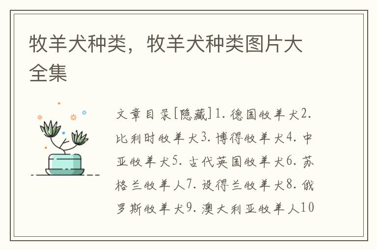 牧羊犬种类，牧羊犬种类图片大全集