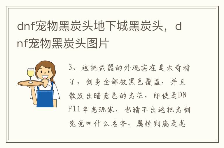 dnf宠物黑炭头地下城黑炭头，dnf宠物黑炭头图片