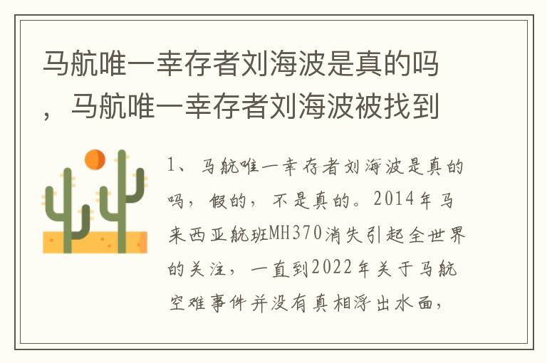 马航唯一幸存者刘海波是真的吗，马航唯一幸存者刘海波被找到