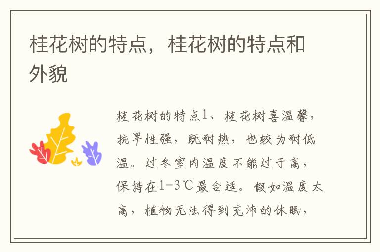 桂花树的特点，桂花树的特点和外貌