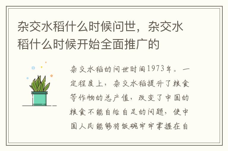 杂交水稻什么时候问世，杂交水稻什么时候开始全面推广的