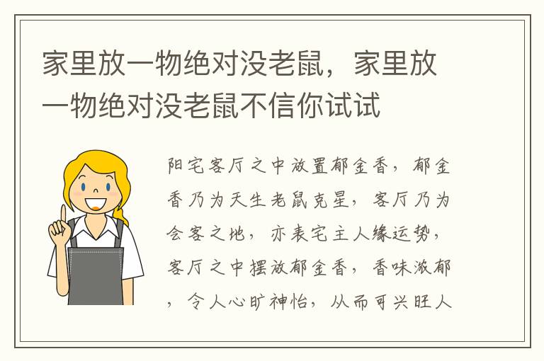 家里放一物绝对没老鼠，家里放一物绝对没老鼠不信你试试