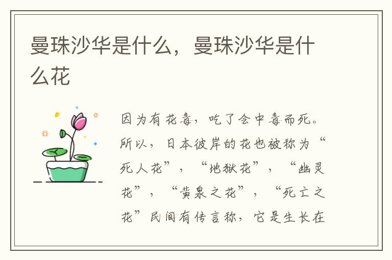 曼珠沙华是什么，曼珠沙华是什么花