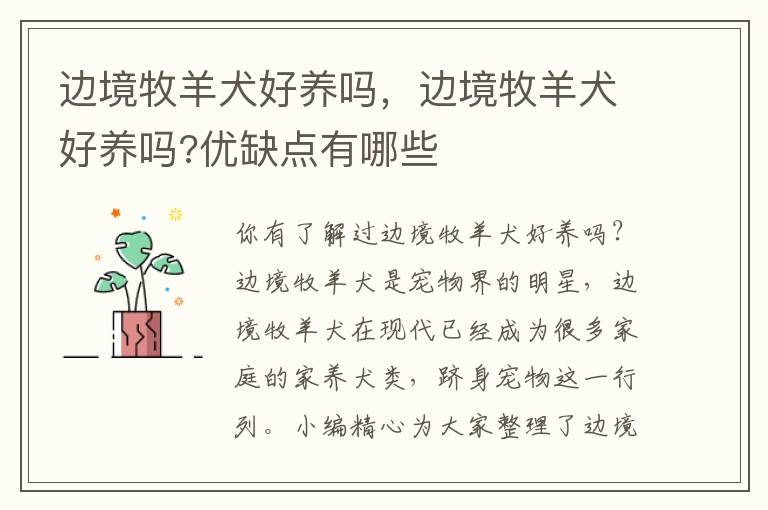 边境牧羊犬好养吗，边境牧羊犬好养吗?优缺点有哪些
