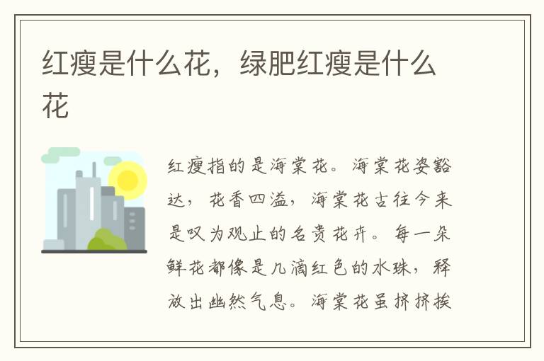 红瘦是什么花，绿肥红瘦是什么花