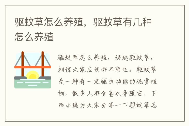驱蚊草怎么养殖，驱蚊草有几种怎么养殖