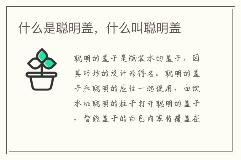 什么是聪明盖，什么叫聪明盖