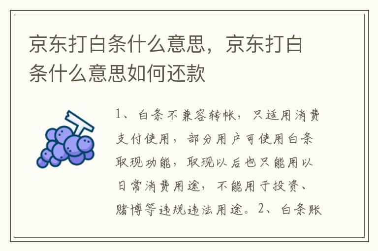 京东打白条什么意思，京东打白条什么意思如何还款