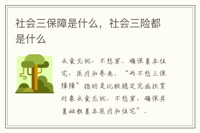 社会三保障是什么，社会三险都是什么