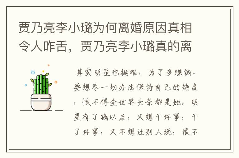 贾乃亮李小璐为何离婚原因真相令人咋舌，贾乃亮李小璐真的离婚了吗