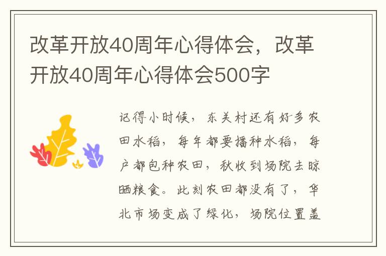 改革开放40周年心得体会，改革开放40周年心得体会500字