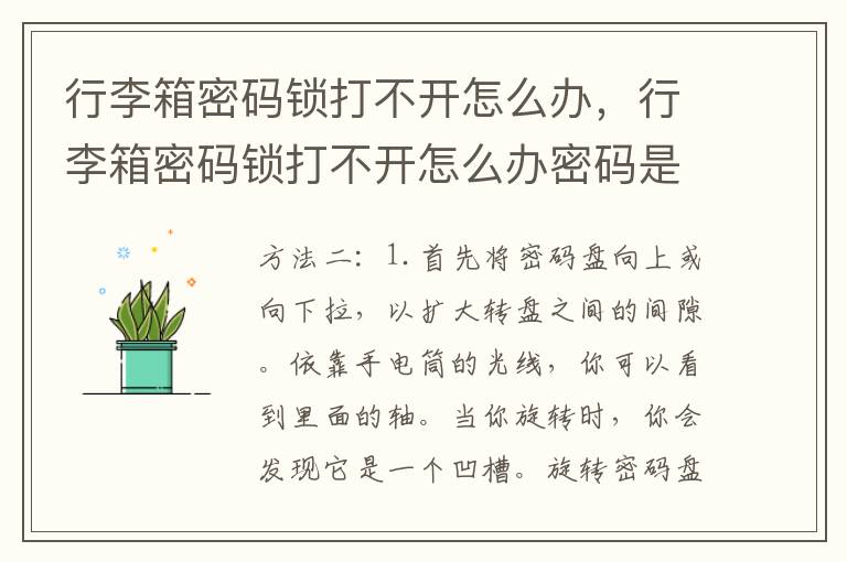 行李箱密码锁打不开怎么办，行李箱密码锁打不开怎么办密码是对的